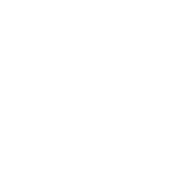 Linked In Logo