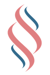 SteamPress